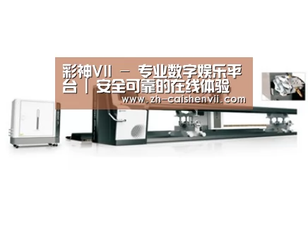 案例展示五