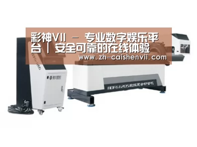 案例展示四