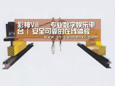 产品名称十七