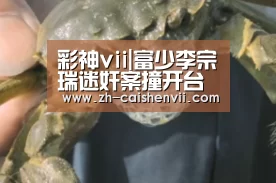 彩神vii